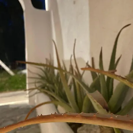 Cal Day Santorini Pensjonat 4*