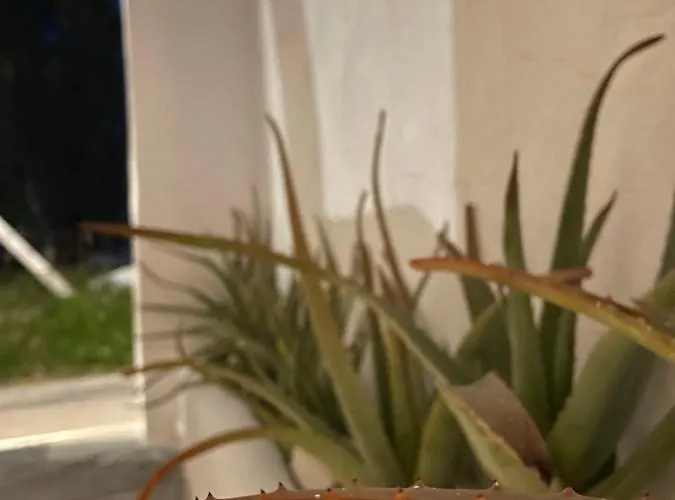 Cal Day Santorini 게스트하우스 4*